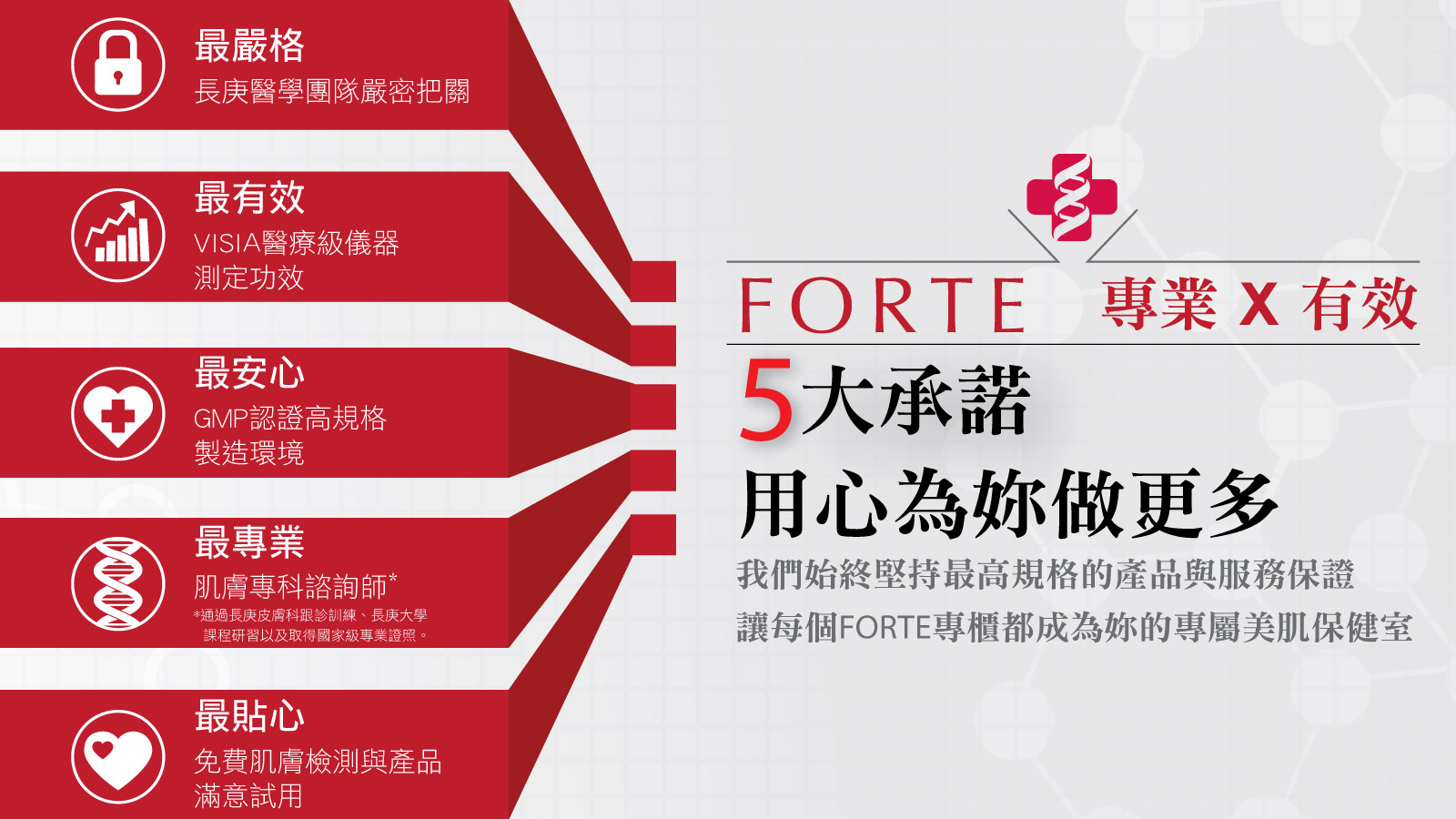 FORTE 五大承諾